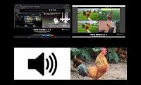 Thumbnail of Up To Faster 141 Parison To Hen & Rooster