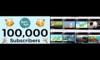 Thumbnail of centi cbeebies dent funny