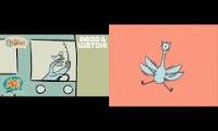 Don’t let the pigeon drive the bus English vs  Spanish