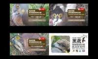 Thumbnail of bird-secure-multiview