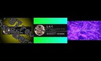 Thumbnail of Next video for sinkus subscriber countdown 2
