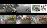 Thumbnail of 2026-06-01台灣鳥類老鷹巢位直播 Crested Goshawk Nest Cam, Taipei, Taiwan　カンムリオオタカの子育て生中継
