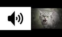 Thumbnail of when i get my hands on nekomata
