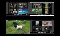 Thumbnail of Up To Faster 75.101 Parison To Hen & Rooster