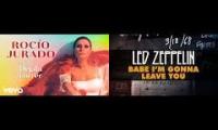 Dejala correr, Babe im gonna lea e you