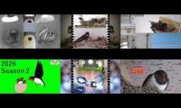 Thumbnail of Amazingearthanimalslivestream