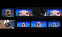 Thumbnail of Nickelodeon Movies Dog