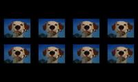 Thumbnail of Nickelodeon movies dog