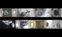 Thumbnail of AmazingearthD	animalslivestream