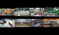 Thumbnail of Goldys Farm Cams Carlene and Janine