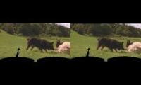 Thumbnail of Timon and pumbaa interrupt 6 babe (my version)