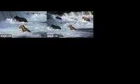 Thumbnail of Bear Cams Explore 2026
