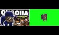 Thumbnail of OIIAOIIAOIIA Cat Mashup