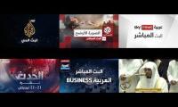 Thumbnail of Arabic news channel 13
