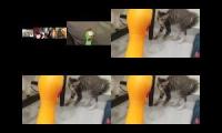 Thumbnail of up to faster 13 parison rubber chicken