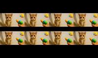 Thumbnail of Tim Tim worls funny videos from saif