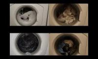 Thumbnail of Ariston AVXL105 Washing machine
