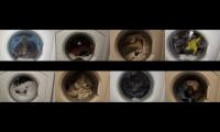 Thumbnail of Ariston AV61 & AVXL105 Washing machines Played at once