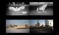 Thumbnail of Savanna Nightjar Rooftop Nesting LIVE