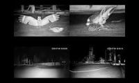 Thumbnail of Savanna Nightjar Rooftop Nesting LIVE 4