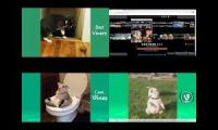 Thumbnail of up to faster 534 parison