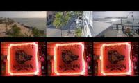 Thumbnail of Hogs Breath Saloon KW