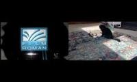 Thumbnail of Film Roman Hatchery Logos In Sweetie And Sammy In Film Roman Hatchery Logos Made Problem In Use In
