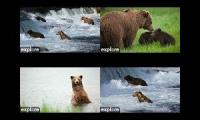 Thumbnail of Katmai Four Cams Riffles KRV BFL RW