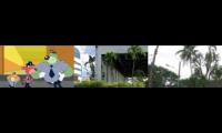 Thumbnail of Up To Faster 2 Parison Rat A Tat Adonidia Roystonea Regia Coconut