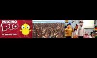 Thumbnail of Pollito Pio, Pulcino Pio Sottomarina and Pollito Pio