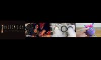 Thumbnail of Sunny Bunnies Sound Slammers Toy Review Deluxe Digital Macrovision Logos Sunny Bunnies Sound Toys In