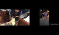 Thumbnail of Blue Clue Training Diapers In Blue Clue In From Blue Clue In Training Diapers In Blue Clue In From