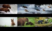 Thumbnail of 2026 Katmai  BF-BFL-RF-KRV-RW-UW