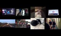 Thumbnail of Annoying Goose Matanza4871 Edition