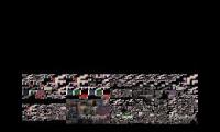 Thumbnail of infinity peta pigeon screaming contest