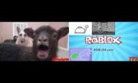 Thumbnail of Sparta Multisource Remix 8-7