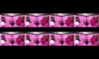 Thumbnail of multi view for youtube watch time to complete 4000 hours of watch time