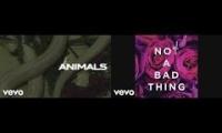Thumbnail of Maroon 5 Animals Justin Timberlake Not A Bad Thing Mashup In Maroon 5 Animals Music Vevo From In Use