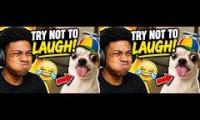 Thumbnail of funny video from youtube