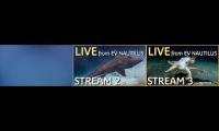 Thumbnail of 3 live cams EVNautilus
