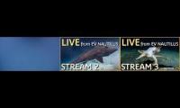 Thumbnail of 3 live cams EVNautilus