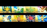 Thumbnail of Pokémon: Battle Frontier (Season 9) (Episodes 9 through 17).