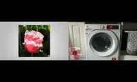 Thumbnail of Forever Bound - Popping Flowers