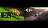 Thumbnail of Fliege Drone Sound Vergleich