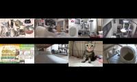 Thumbnail of pourefru-dfhdfvbnmn-hogonekonoie-2021-06