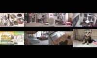 Thumbnail of pourefru-dfhdfvbnmn-hogonekonoie-2021-06