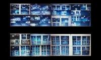 Thumbnail of Annoying Gooses Exa Side-By-Side