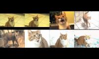 Thumbnail of XXXXXXXXXXXXXXXXXXXXXXXXXXXXXXXXXXXXXXXXXXXXXXXXXXXXXXX