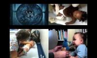 Thumbnail of Poor Obi Shots In Singamajigs Archive In Poor Obi Shots In From Singamajigs Archive In For Babies In