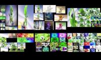 Thumbnail of too many gummy bear on youtube multiplier